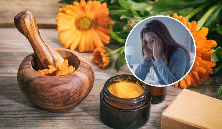 La caléndula, la planta que ayuda a combatir el estrés y el insomnio (Shutterstock).