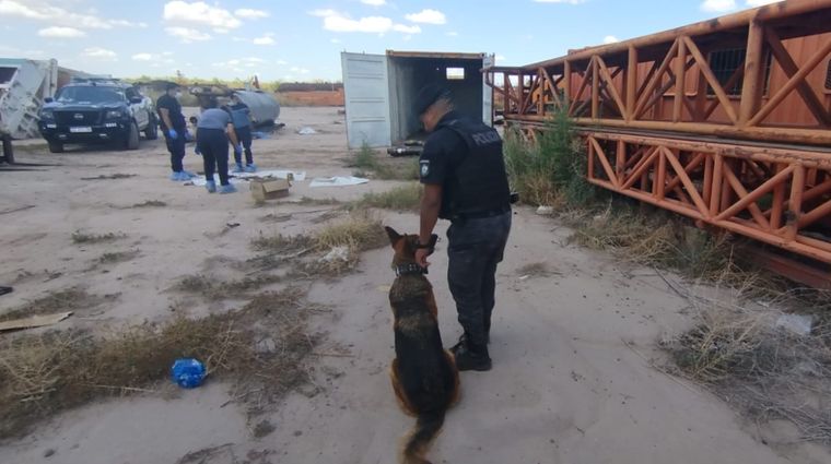 Rayen, el can policial que detectó los huesos en el interior del contenedor.&nbsp;