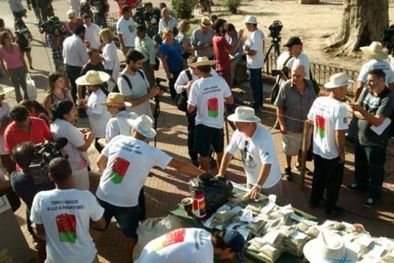 MDZol | Productores yerbateros buscan que la industria le pague el precio justo, y si no, no entregarán yerba mate, tanto hoja verde como canchada