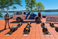 Decomisaron más de 140 kilogramos de marihuana a las orillas del río. Foto: Ministerio de Seguridad Argentina