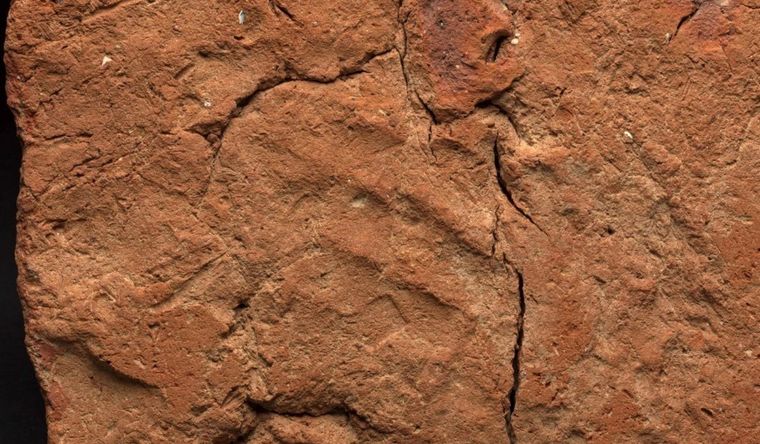 El hallazgo de una huella de mano de 4.000 años de antigüedad ha sido descubierta en una antigua tumba egipcia. Foto DPA