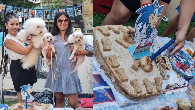 El cumpleaños de Benjamín en Plaza España fue todo un suceso: torta y bocadillos para perros, decoración festiva y muchos amigos de cuatro patas. El cumpleaños de Benjamín en Plaza España fue todo un suceso: torta y bocadillos para perros, decoración festiva y muchos amigos de cuatro patas.