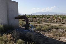 Foto: Alf Ponce / MDZ