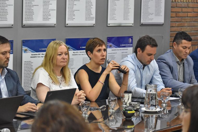 La Legislatura analizó el proyecto de Malargüe Distrito Minero Occidental 2.