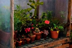 Foto: /media.puntal.com.ar