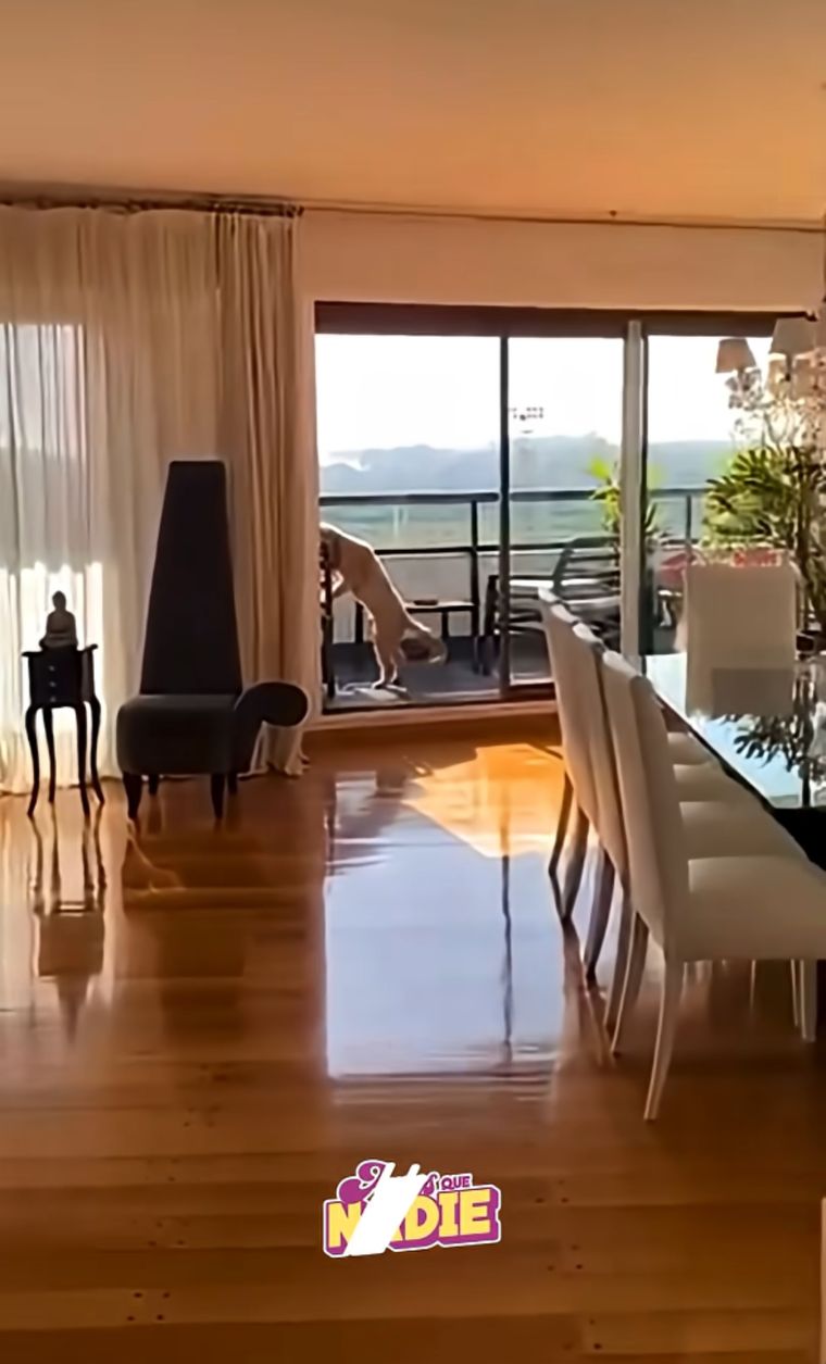 El living y el comedor se integran en un ambiente amplio y luminoso, donde los pisos de madera aportan calidez al diseño moderno. El living y el comedor se integran en un ambiente amplio y luminoso, donde los pisos de madera aportan calidez al diseño moderno.