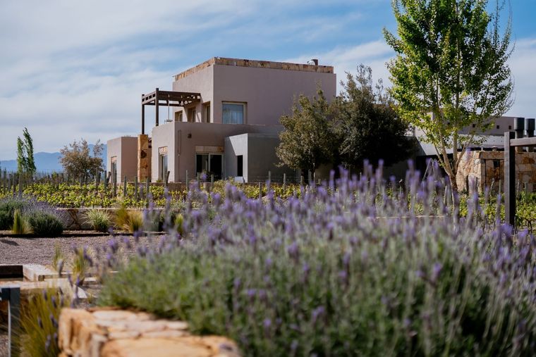 El Lodge más elegido por los usuarios Foto: Gentileza