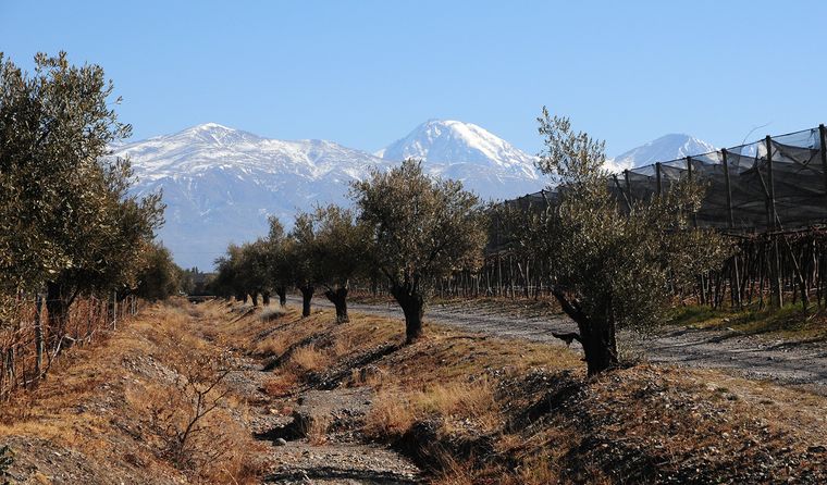 El 17 de abril se celebra el día mundial del malbec. El 17 de abril se celebra el día mundial del malbec.