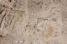 El descubrimiento ocurrió en una isla cerca de Dubai Foto: Instagram/uak_tad El descubrimiento ocurrió en una isla cerca de Dubai Foto: Instagram/uak_tad