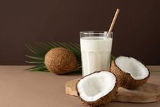 Las leches vegetales tienen numerosos beneficios para el organismo Foto: Shutterstock