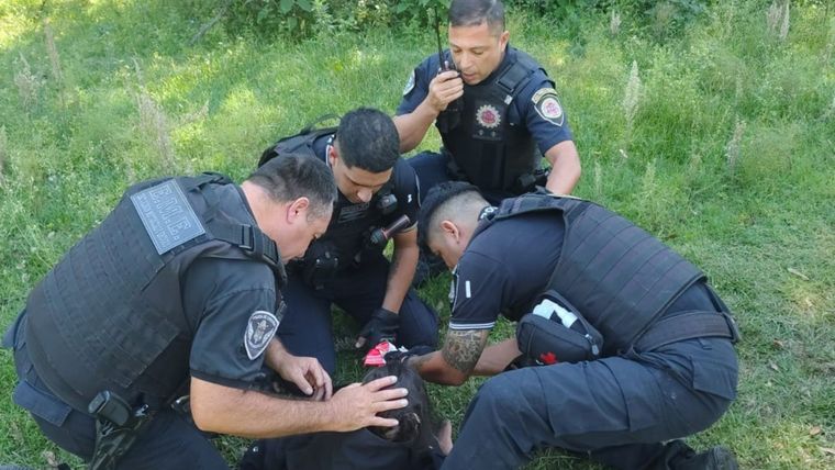 Se trata de dos efectivos de la Policía de Córdoba.&nbsp;