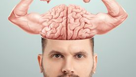 Esto fue lo que dijo la inteligencia artificial sobre el cerebro y la alimentación.