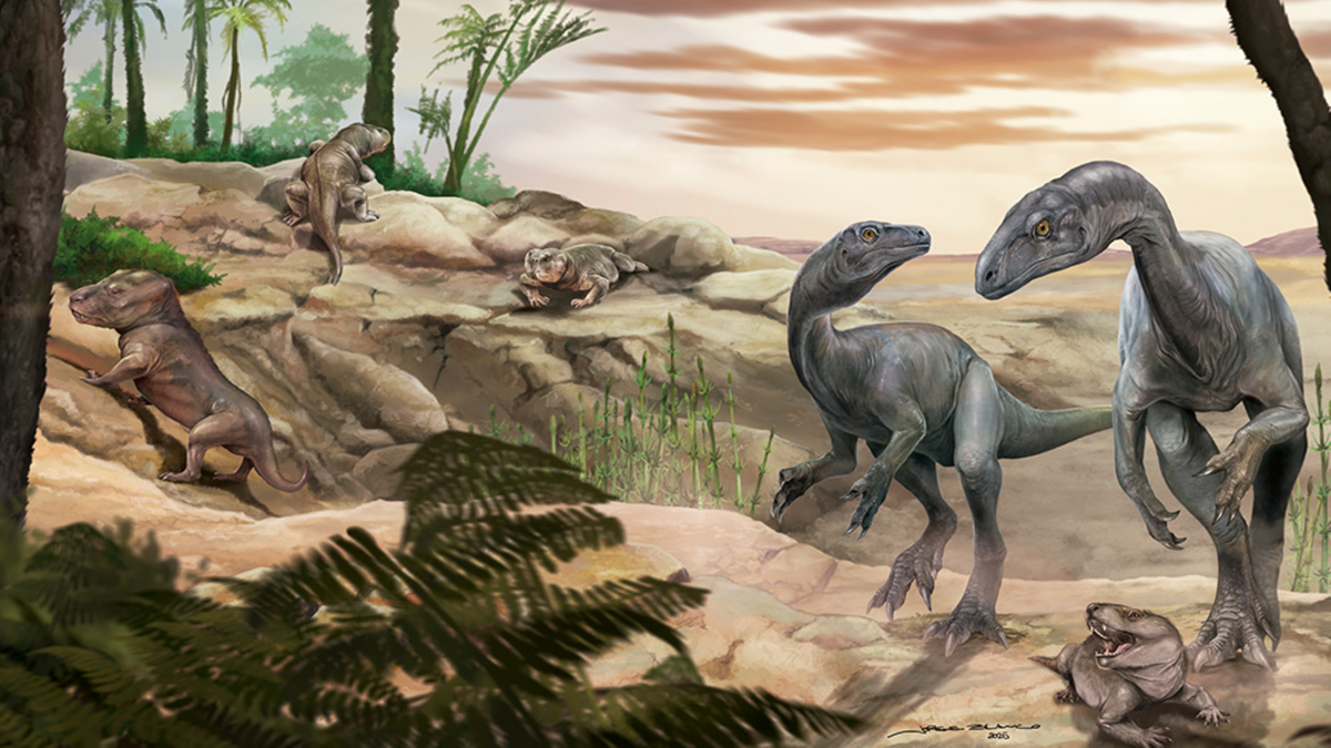 Hallazgo histórico en La Rioja: descubren uno de los dinosaurios más antiguos del mundo