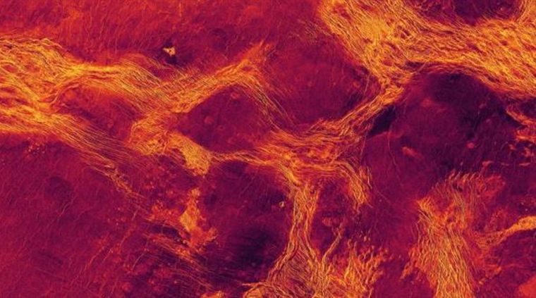 Superficie de Venus. Foto: NASA / JPL / Paul Byrne