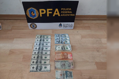 Los dólares secuestrados. Foto: NA