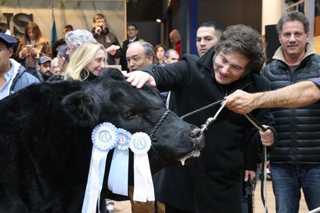 Javier Milei estará en la Rural. Javier Milei estará en la Rural.