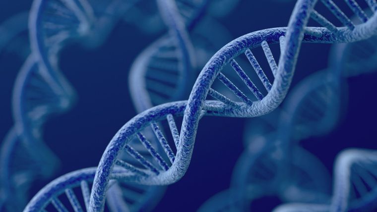 El autor de esta columna es Agustín Luján. Investigador postdoctoral del Centro de Regulación Genómica de Barcelona, España.