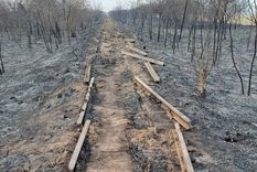 El robo de rieles del ferrocarril Belgrano fue descubierto en la zona de finca La Celina Foto: fiscales.gob.ar