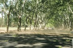 Las advertencias del SMN para este martes. Foto: Santiago Tagua/MDZ