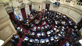 Este miércoles se conforman las comisiones clave en el Senado. Foto: Prensa Senado Nacional