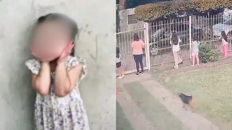 Bianca fue atropellada el domingo por la tarde en el partido bonaerense de Pilar.