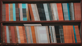 La biblioteca ordenada de forma alfabética y organizado en forma de arcoíris está quedando fuera del radar de la gente. Foto: pexels.com