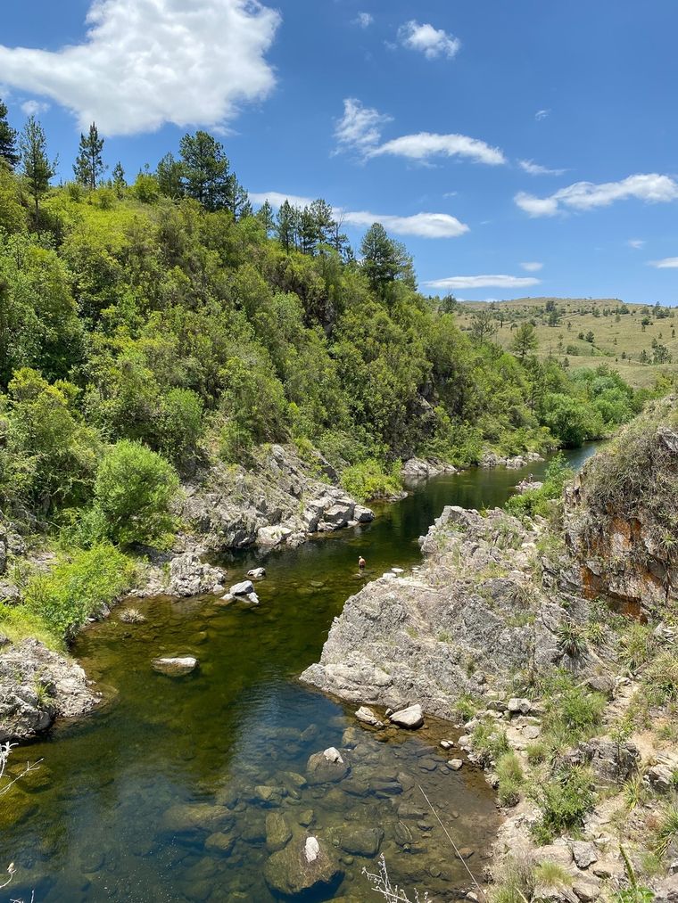 Los rescatistas llevaron a cabo tareas de rastrillaje en la zona.  Foto: X