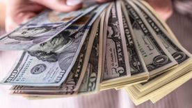 La victoria de La Libertad Avanza trajo aparejado un nuevo escenario para la cotización del dólar.  La victoria de La Libertad Avanza trajo aparejado un nuevo escenario para la cotización del dólar.