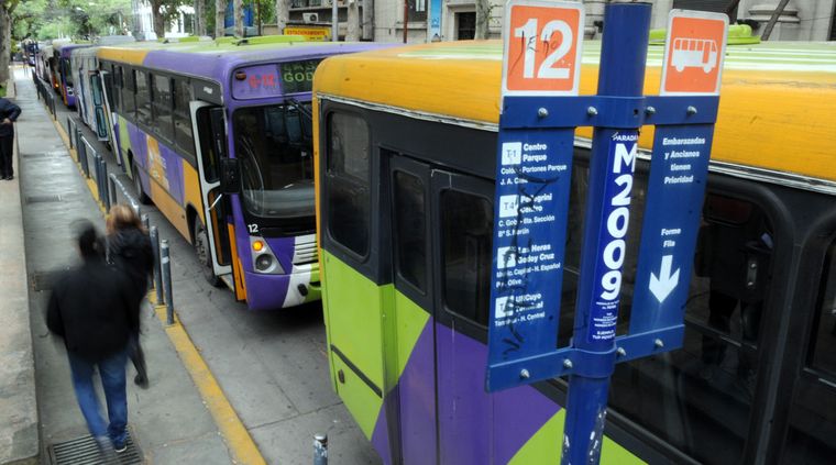 Foto: Pachy Reynoso/MDZ