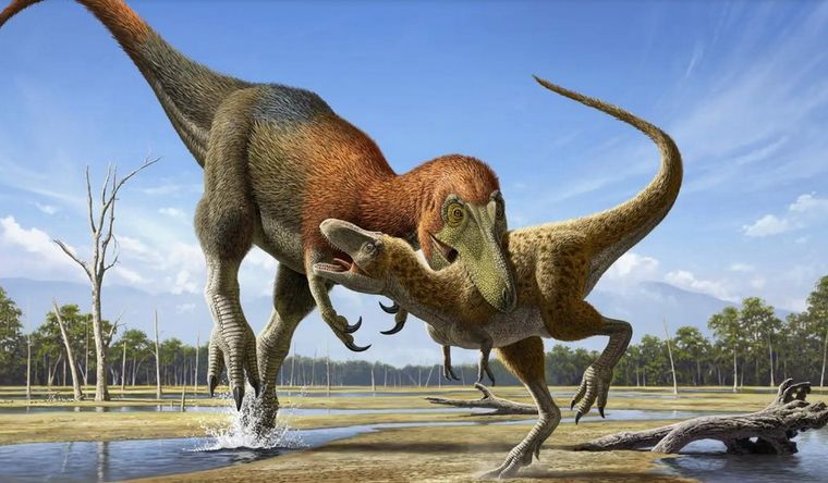 El estudio fue realizado a partir de las conductas inteligentes del tiranosaurio rex. Foto: Efe.