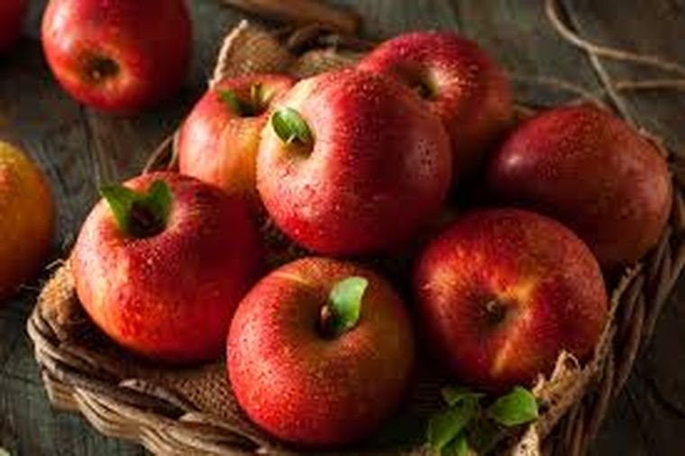 La manzana roja concentra vitamina C. La manzana roja concentra vitamina C.