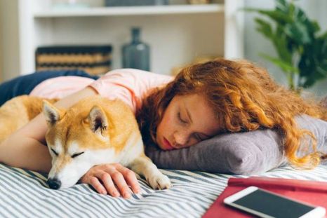 Los perros pueden percibir el estrés humano a través del olfato. Foto: shutterstock Los perros pueden percibir el estrés humano a través del olfato. Foto: shutterstock