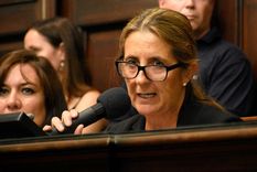 ¿quiebre? por que dos legisladores mendocinos fueron al recinto desoyendo el mandato del bloque