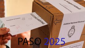 Perlita al paso: los lectores de MDZ repudian las PASO y el gobierno mendocino las avala