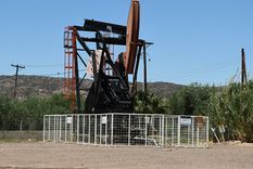 Foto: ALF PONCE MERCADO / MDZ