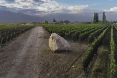 agua subterranea, nuevo codigo y plan hidrico: las decisiones clave que definiran el futuro de mendoza