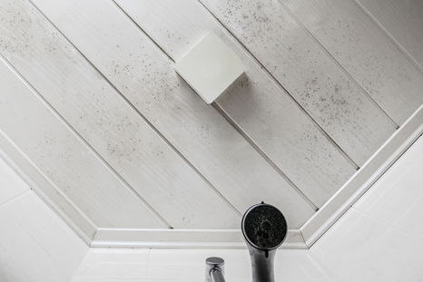 Es común encontrarnos con moho en el baño. Foto: Shutterstock Es común encontrarnos con moho en el baño. Foto: Shutterstock