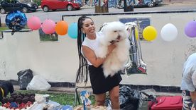 Postales de una tarde atípica en Plaza España: cuando el pulso de la ciudad se detiene para un festejo de cuatro patas. Postales de una tarde atípica en Plaza España: cuando el pulso de la ciudad se detiene para un festejo de cuatro patas.