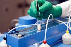 La píldora ingresa a Europa. Foto: Afp.