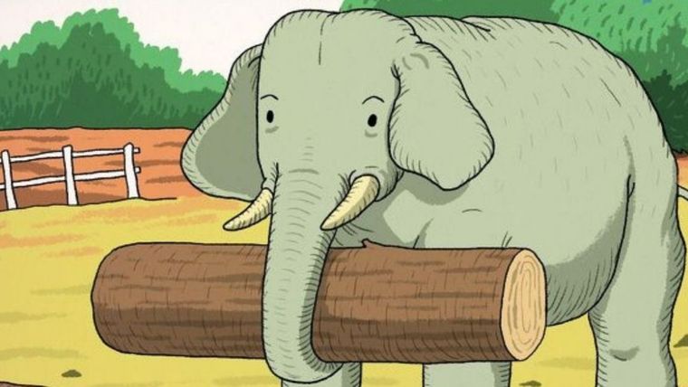 ACERTIJO VISUAL ACERTIJO VISUAL, RETO VISUAL, ANIMAL Foto: ARCHIVO