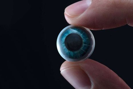 Anmat emitió una advertencia por lentes de contacto de fantasía sin autorización. Anmat emitió una advertencia por lentes de contacto de fantasía sin autorización.