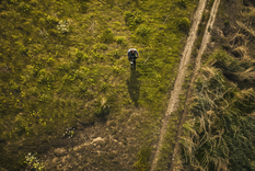 El hallazgo en Surrey Hills sorprendió al detectorista, que al principio creyó que alguien le estaba jugando una broma. &nbsp;