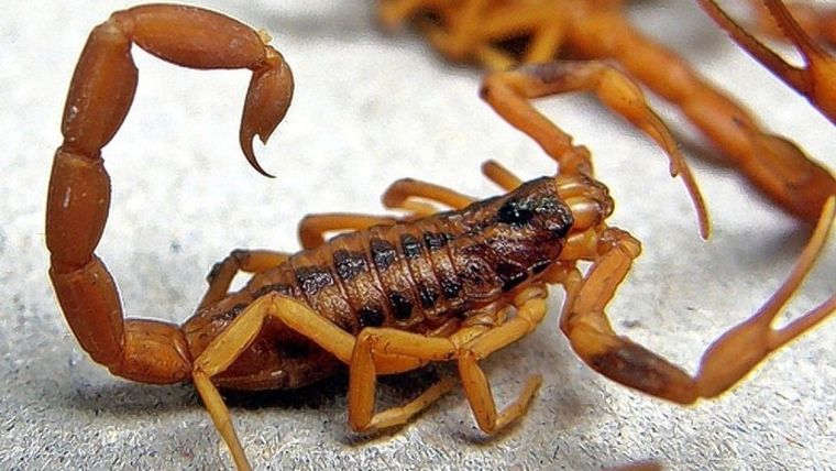 Se trató de un caso atípico para la fecha