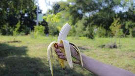 Uno de los mitos más fuertes que existen en la alimentación es que hay que comer banana porque tiene mucho potasio.