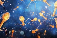 Muchos virus están involucrados en procesos corporales esenciales y forman parte de nuestro ecosistema interno. Foto: GETTY IMAGES