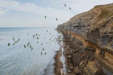 La Ruta de los Acantilados, en la costa de Río Negro, combina playas extensas, acantilados imponentes y una fauna única que convierte al recorrido en una experiencia inolvidable.