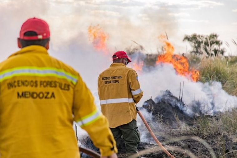 El Plan Provincial de Manejo del Fuego publicó el Mapa de peligro para incendios forestales. Foto: Prensa Gobierno de Mendoza