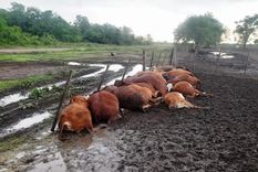 Foto: El Comercial de Formosa