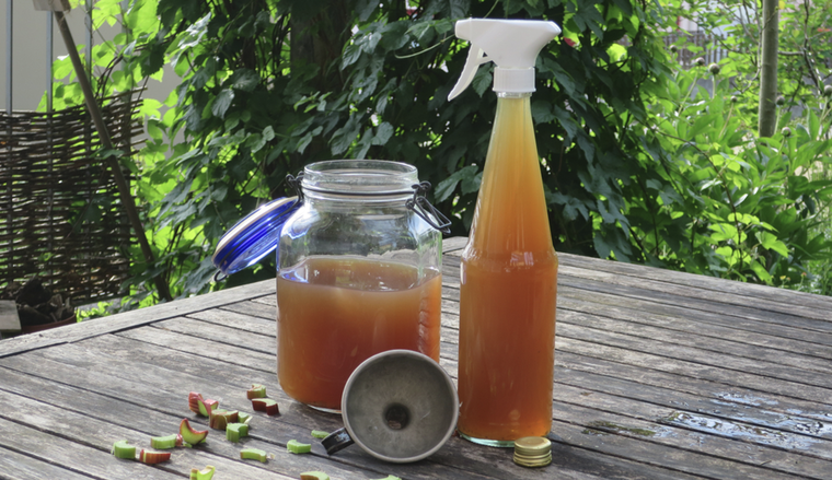 Un fertilizante líquido a base de cáscaras de huevo para el jardín. Foto: Shutterstock