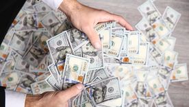 dolares Cultiva estas plantas y tendrás abundancia. Foto: Shutterstock